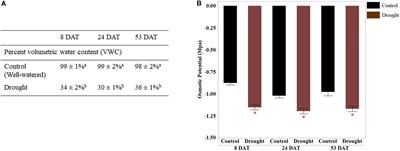 Functional Relevance of Citrulline in the <mark class="highlighted">Vegetative Tissues</mark> of Watermelon During Abiotic Stresses